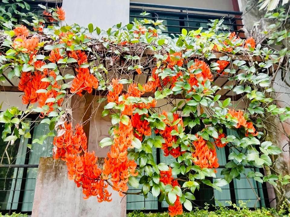 Wassana Sitdharma Guesthouse Trang Zewnętrze zdjęcie